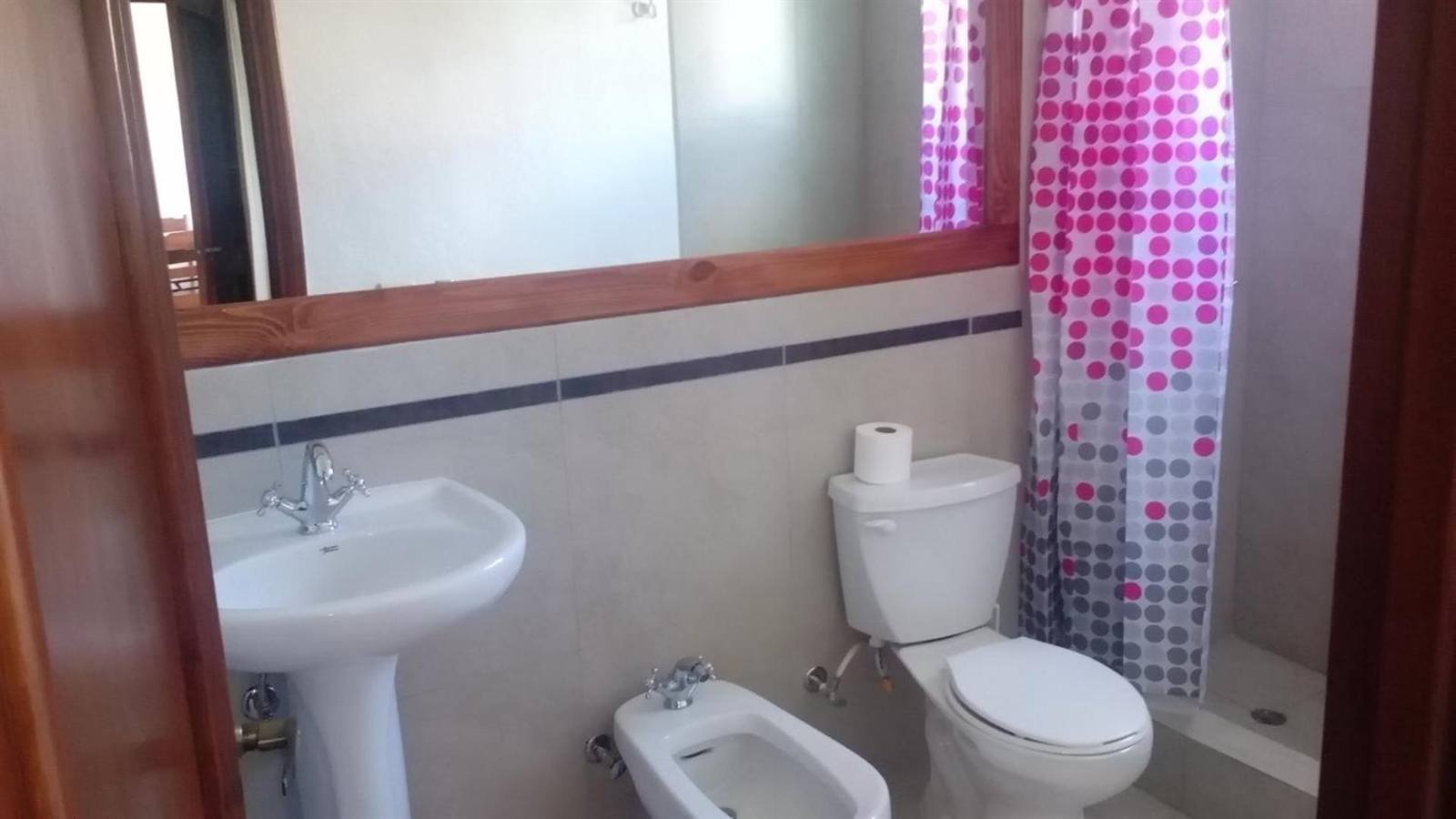 Tiled bathroom with a washbasin, toilet, bidet and shower curtain